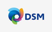 DSM